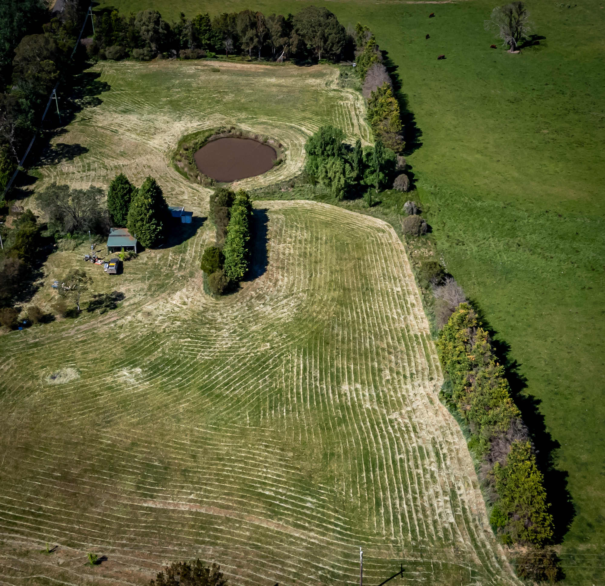 20251023_2_Nowra_Road_14